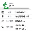 구덕산책로 숲길 이미지