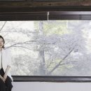 (주)디엔와이