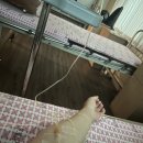 성진내과의원 네이버블로그