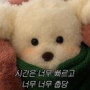애플꼬마김밥광교상현역점 | 어쩔어쩔요