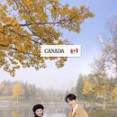 로케이션 이미지