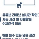 멍팰리스 이미지