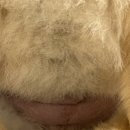 편안장여관 이미지