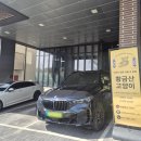 황금산 고양이 | 남양주 고양이 미용) 호텔과 출장 픽업도 가능한 "황금산고양이" 재방문 후기