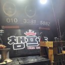 미니스톱 해양공원점 | [여수쭈꾸미낚시] 여수챔프호 타고 출조 출조후기