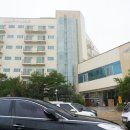 포레스트오션 | 강원도 고성 여행 가성비 숙소 포레스트뷰 객실 오션투유리조트 후기