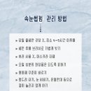 한올 더하기 네이버블로그
