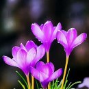 올바른마음