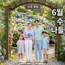 6월 충청도 가볼만한곳 수국 가족 나들이 코스 추천