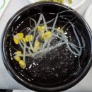 김제경찰서 신풍지구대 | 본점보다 맛있는 동서네낙지 김제점 소곱창낙지볶음 후기