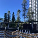 규성농장 | [호주 워홀] 퍼스 7,8,9월 일상/ 퍼스시티크루즈투어(돌고래 봄!),킹스파크,런던코트,노스브릿지 마라탕...