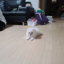엄지손테라피 이미지