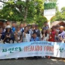 다문화 여행사 행정사 이미지