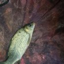 봉암낚시터 이미지