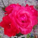 한신행운공인중개사사무소 이미지