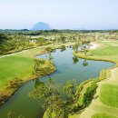 테디밸리CC 이미지