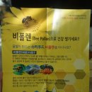 영월천하장사의집 | 해찬골벌꿀농원 생로얄제리 산딸기꿀 추천해요