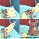 제리통신 이미지