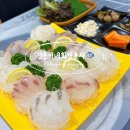 호박포차횟집 | 속초 조양동 술집 정돈이네 회짱포차 현지인 포장마차 맛집