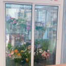 아워포틀랜드(our ffottle land) | [대구 꽃집]::Our ffottle land:: 나를 위한 꽃다발 #대구동구꽃집 #아워포틀랜드 #셀카폭탄