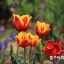 ㈜삼화버스 이미지