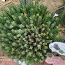 서부농업기술센터 이미지