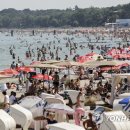 With Peopl 이미지