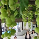 중흥2동 행정복지센터 앞 이미지