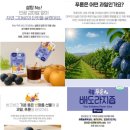 루솔 맘챔김 박스 후기 배도라지즙 아기간식 추천