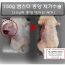 키움 동물병원 이미지