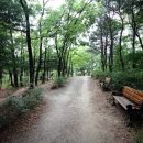 대전상가 이미지