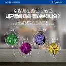 주방상판교체 이염이 심해서 고려한다면