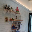 완산애견 이미지