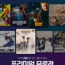 오초이스 이미지
