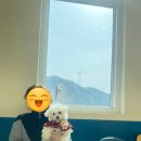 몽실이네 이미지