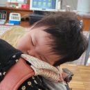차차차샤브샤브&고기하우스 이미지