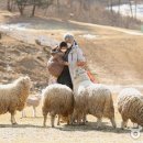 초원목장 이미지