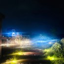 타미 | 동탄 용인 분위기 좋은 대형카페 바스타미 디너후기