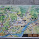 영월청령포 | 2026.05.04 강원도 영월 청령포 방문 후기