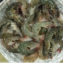 보금자리 (펜션) 이미지