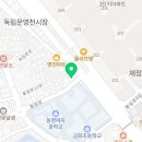 자연디피에스