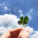 굿앤굿즈 이미지