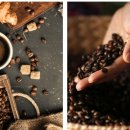 커피 아카데미(기본) 이미지