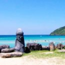 바글바글제주 이미지