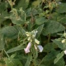 수양마을경로당 이미지