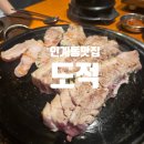 인계동 삼겹살 맛집 인생 고기집 도적 수원점 솔직후기