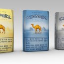 카멜 이미지