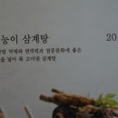 황제닭개장 이미지