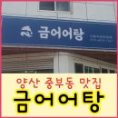 금어로 이미지