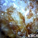 Dr.오즈동물병원 이미지